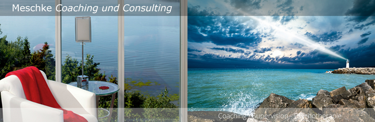 Meschke Coaching & Consulting - Logo